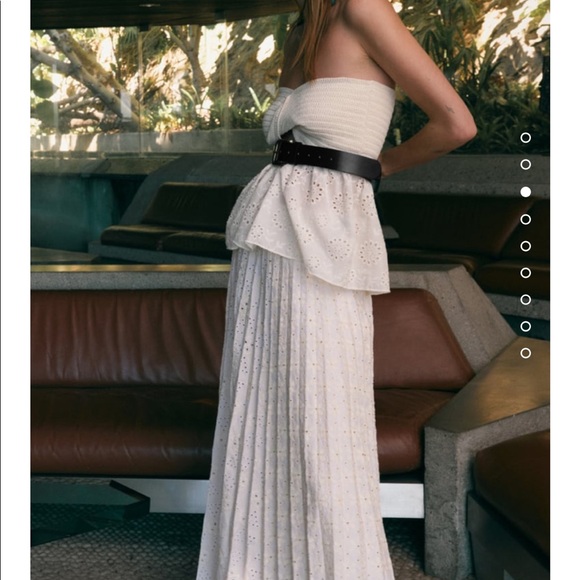 NWT Zara Embroidered Pleated Skirt